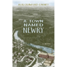 A Town Named Newry