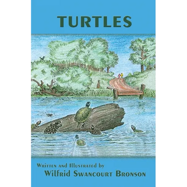Turtles