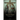 The Stations, Or the Holy Way of the Cross: Illustrated in colors - New edition in Large Print
