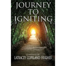 Journey to Igniting