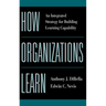 How Organizations Learn: An Integrated Strategy for Building Learning Capability