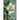 Nightshade