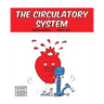 The Circulatory System