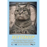 Buttercup - The Legendary Charm and Love of a Domestic Short-Haired Tabby Cat
