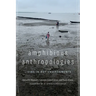 Amphibious Anthropologies: Living in Wet Environments