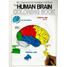 The Human Brain Coloring Book