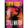 Stillwater: A Thriller