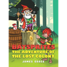 Baysprites: The Adventure of the Lost Colony