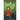 Find Me