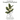 Crazy Plant Guy Houseplant Coloring Book