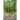Lost Along the Way