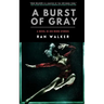 A Burst of Gray: A Novel in 100-Word Stories