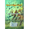 Nature of Images in Novels