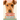 Irish Terrier Dog Breed: All You Need to Know about The Irish Farming Dog: Facts about The Rollicking Terriers of Ireland