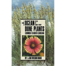 Guide to Ocean Dune Plants Common to North Carolina