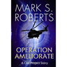 Operation Ameliorate: A Clio Project Story