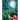 Chasing the Moon