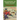 The Mystery of Cabin Island: The Hardy Boys: Book #8
