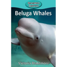 Beluga Whales