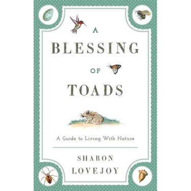 A Blessing of Toads: A Guide to Living with Nature