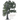 The Story of Trees: And How They Changed the World