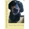 Just Another Hound: Rescue Dog to Hero Dog