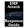 EMP Attack Response Plan: 17 Critical Lessons On How To Properly Respond To An EMP Attack The Moment It Strikes