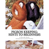 Pigeon Keeping: Hints To Beginners