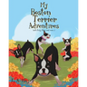 My Boston Terrier Adventures (with Rudy, Riley and more...)