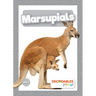 Marsupials