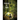 Sources of Light