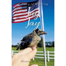 Jay Jay