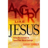 Angry Like Jesus: Using His Example to Spark Your Moral Courage