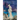 Stage of Fools