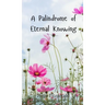 A Palindrome of Eternal Knowing