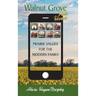 Walnut Grove Hits Home (hardback): Prairie Values for the Modern Family
