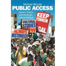 Public Access: Literary Theory and American Cultural Politics