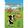 The Adventures of Gregg the Fainting Goat: Gregg's Rodeo Adventure