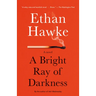 A Bright Ray of Darkness
