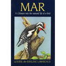 Mar: A Glimpse Into the Natural Life of a Bird