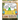 100 Sight Word Storybook Workbook, Finding Frogs (Level Pre-1) Bilingual English/Spanish Inglés/Español: Write Over 100 Fry Sight Words in English and