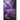 Tainted Dreams