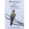 Barney's to blame