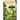 Sex and the Garden of Eden Myth: A Collection of Essays on Christianity