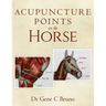 Acupuncture Points on the Horse