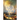 The Chronicles of the City of E: Book 1: The Heart of the Tree