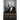 The History of the Negro Church