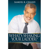 What's Shaking Your Ladder?: 15 Challenges All Leaders Face