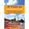 A Visit to Damanhur: Daily life, thoughts and history of a community of dreamers