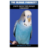 The Budgie Parakeet: Facts About The Budgie Parakeet
